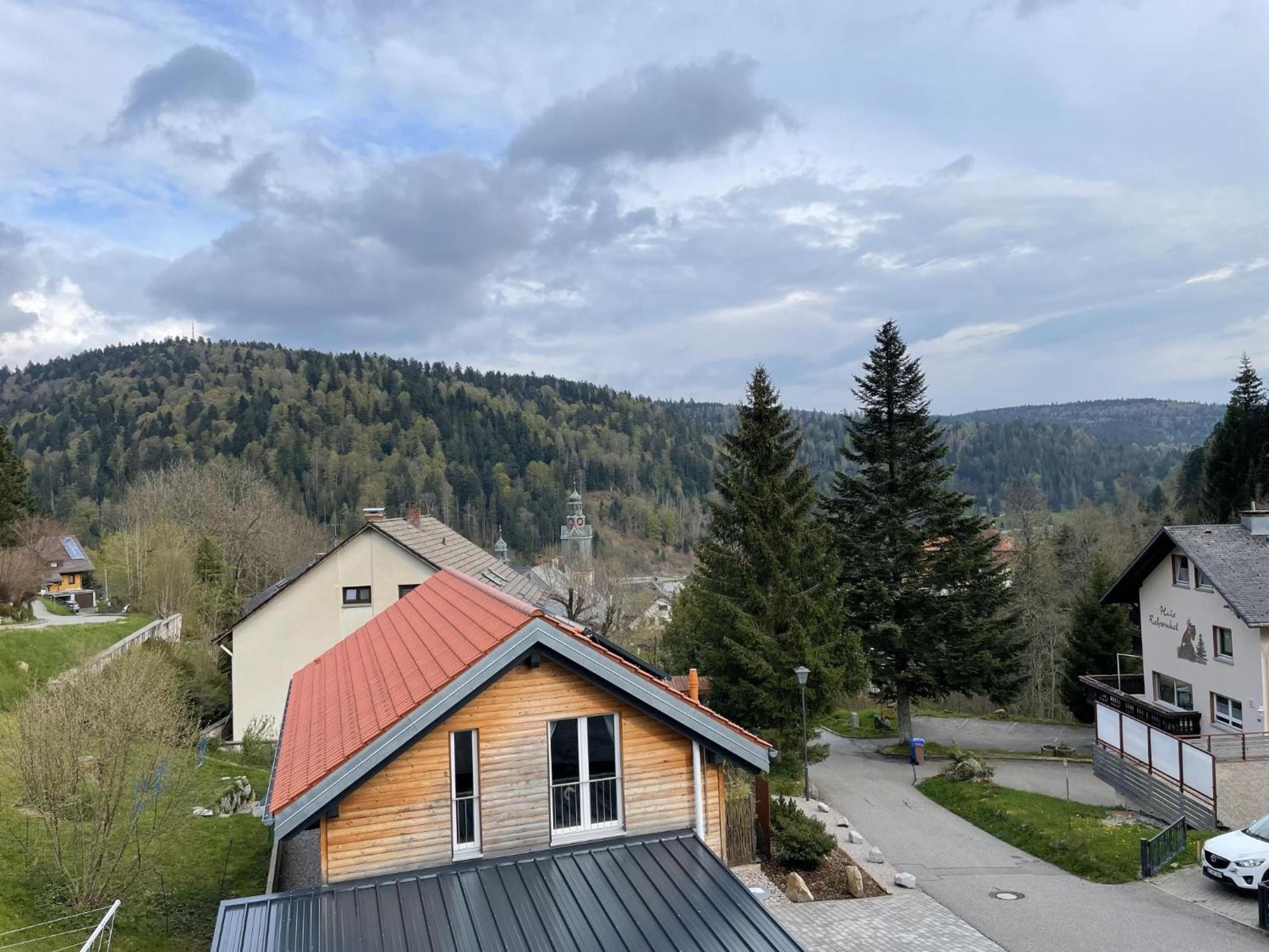 Traumferienwohnung Todtmoos - Appartment Mit Schoenem Wintergarten Exteriör bild
